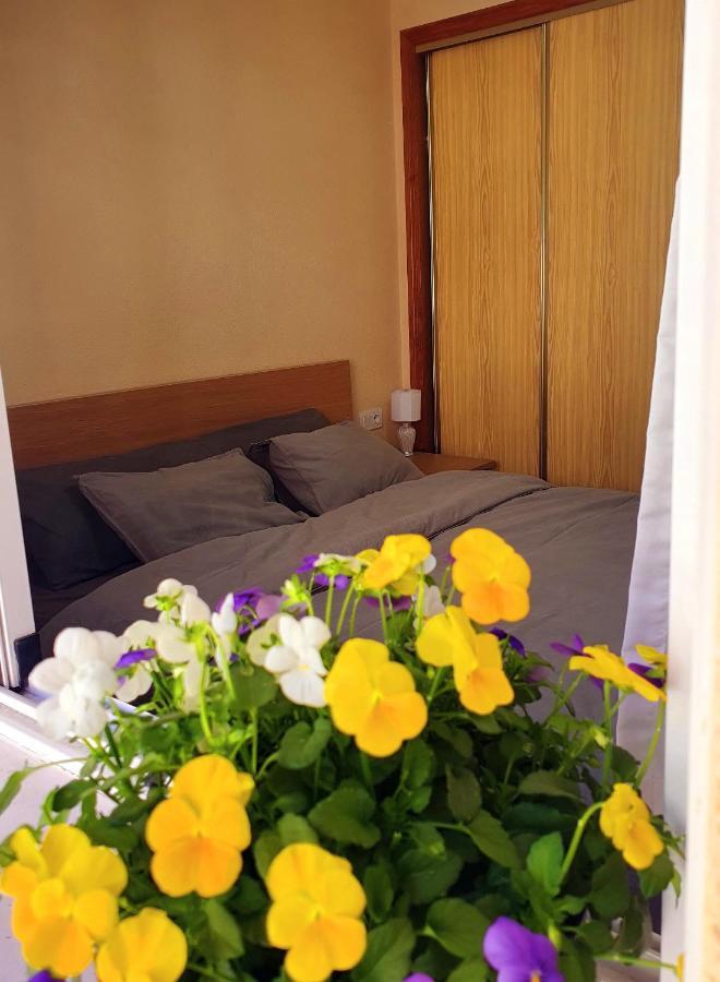 Isamar Apartamento Playa Del Cura Torrevieja Zewnętrze zdjęcie
